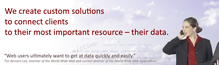 We create custom solutions to connect clients to their most important resource &ndash; their data.